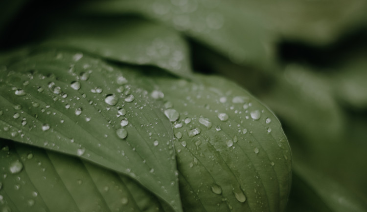 Čeká nás proměnlivý víkend. V Krkonoších už může sněžit