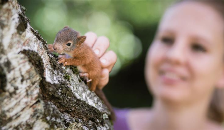 Záchranná stanice na Havlíčkobrodsku se stará o stovky poraněných zvířat ročně. Čeká ji modernizace