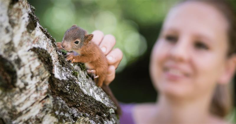 Záchrannou stanici na Havlíčkobrodsku čeká modernizace. Ročně se stará o stovky poraněných zvířat