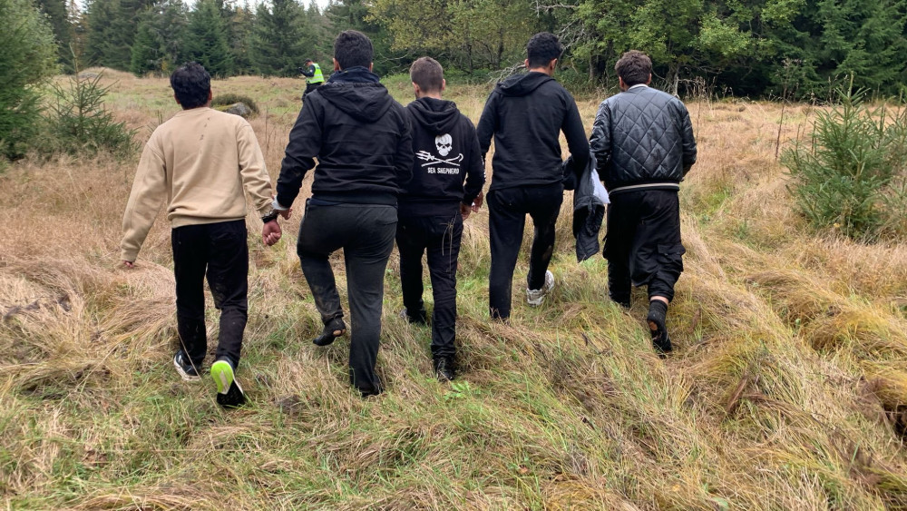 Migranti chtěli přes Šumavu do Německa, cestu jim zablokoval nakladač s dřívím