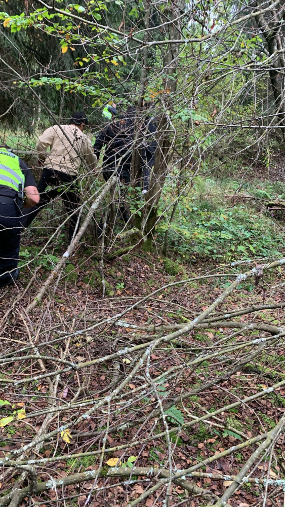 Migranti chtěli přes Šumavu do Německa, cestu jim zablokoval nakladač s dřívím