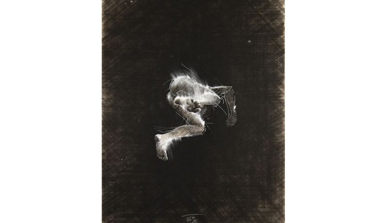 Výstava Milivoje Husáka v Severočeské galerii výtvarného umění