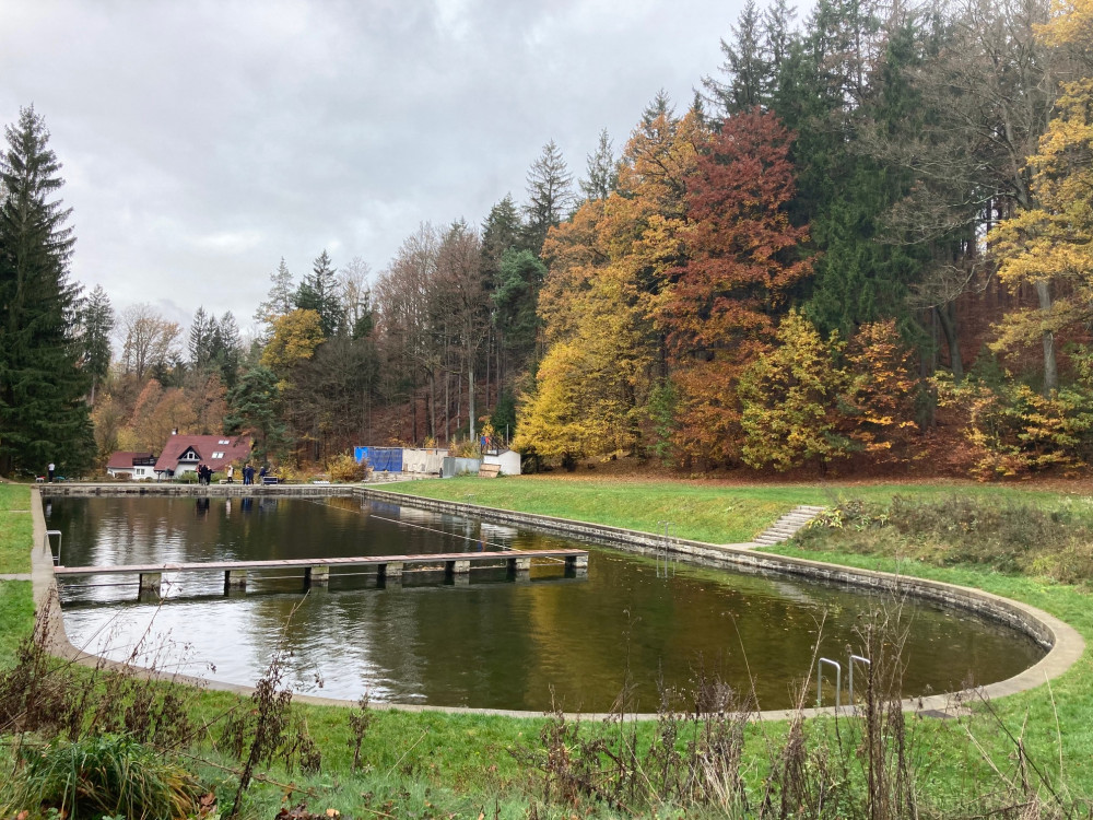 Lesní koupaliště získá kvalitní zázemí. Populární plovárna nabídne saunu, wc, sprchy, lepší gastro či převlékárny
