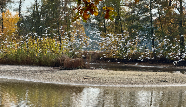 Živě: O politice soudržnosti v Českých Budějovicích