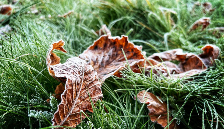 Tento týden bude v Libereckém kraji mrznout. Závěrem týdne se může mírně oteplit