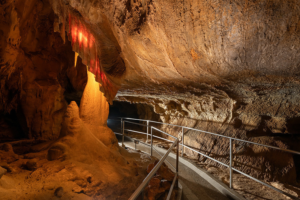 Největší úkryt pro netopýry a vrápence. V Javoříčských jeskyních zimují tisíce letounů