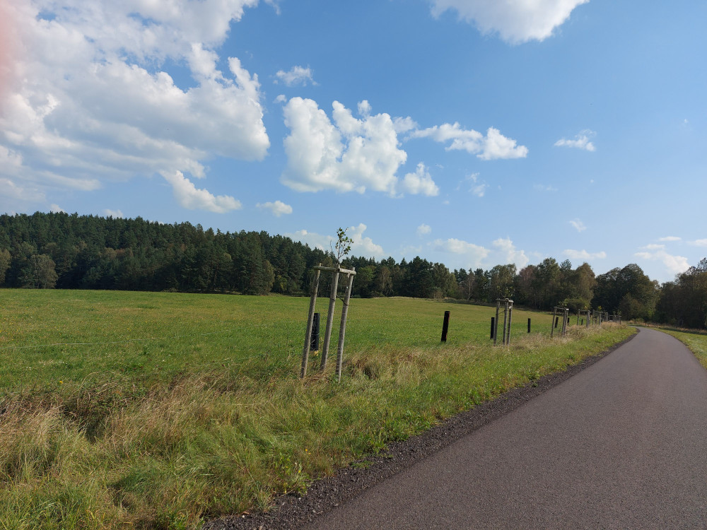V Geoparku Ralsko bude za pomoci studentů vysázena další část ovocné Aleje vzpomínek