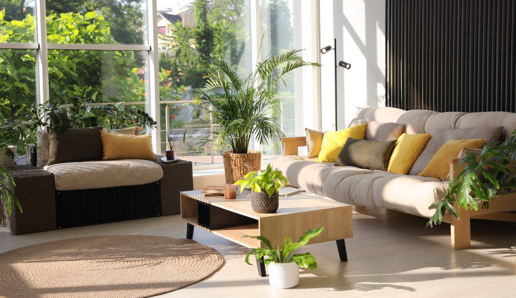 Jak na moderní bydlení s důrazem na přírodní prvky