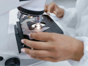 Test DNA od DNA ERA je vhodný pro lidi všech věkových kategorií