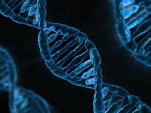 Test DNA od DNA ERA je vhodný pro lidi všech věkových kategorií