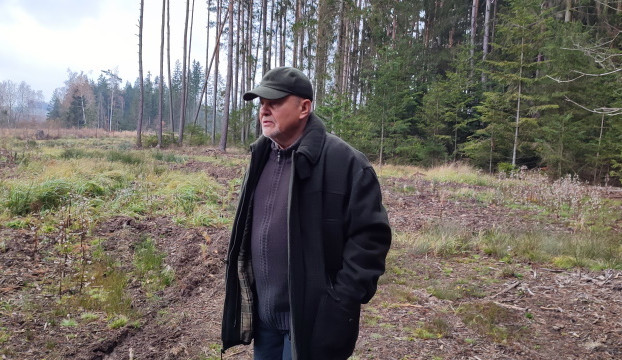 V Česku chybí podpora drobných vlastníků lesa: dobrovolné spolky by pomohly chránit lesy jako “rodinné stříbro”