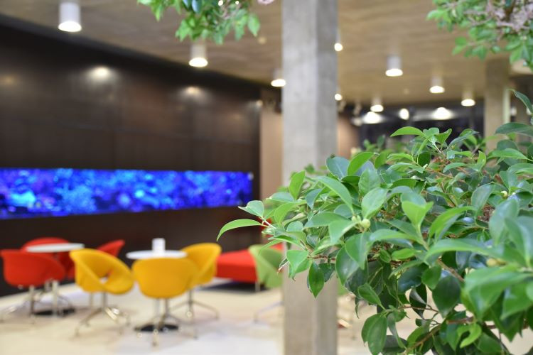 Kde věda potkává soucit: Protonové centrum v Praze slaví významné výročí