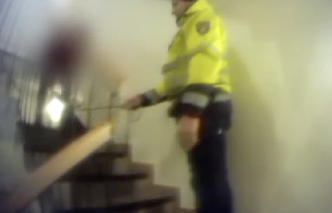 VIDEO: Mladík ukradl psa před obchodem. Strážníci ho za několik hodin vrátili dojaté seniorce