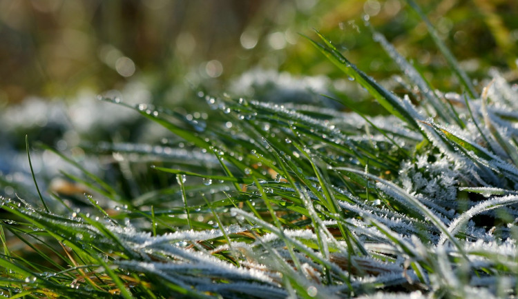 Před oteplením v příštím týdnu nás čeká chladný víkend i sněžení