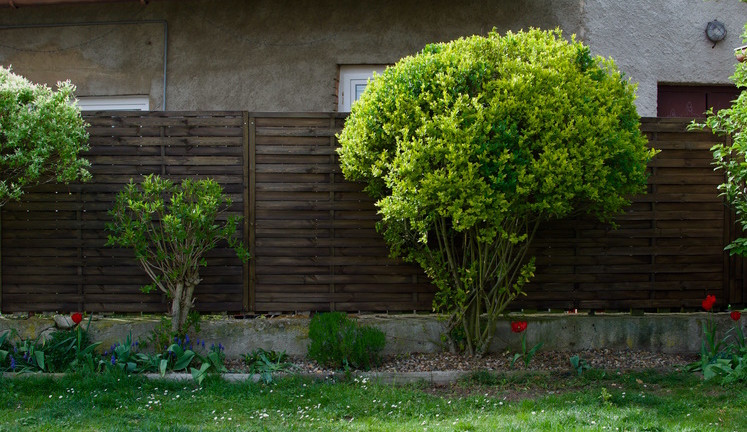 5 kroků, jak vrátit starému plotu nový život