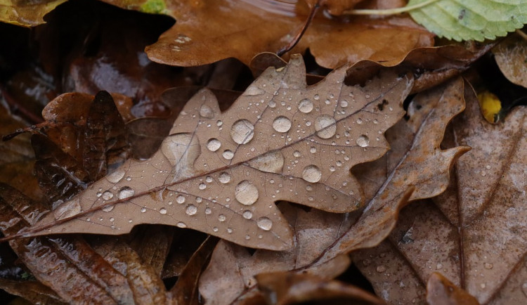 Během víkendu se budou teploty držet nad nulou. Na horách bude sněžit
