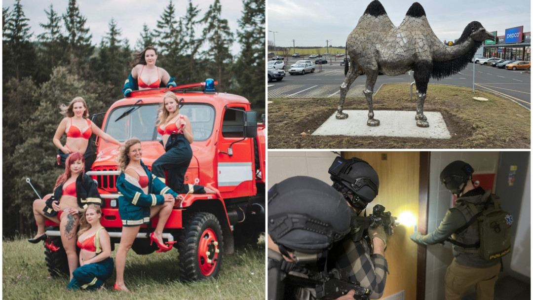 ROK 2024: Příběhy ze Šumavy, žhavý kalendář, rozruch kvůli soše velblouda i špatný vtip o střelbě na univerzitě