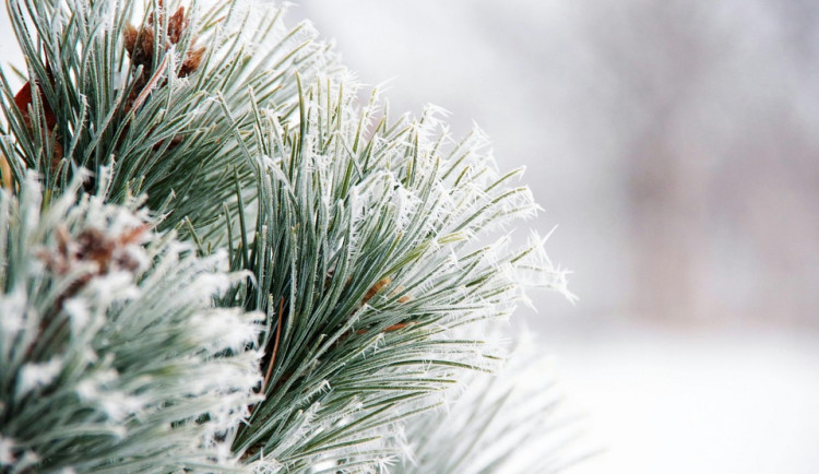 Tento týden v Libereckém kraji přinese sněhové přeháňky, mráz i postupné oteplení