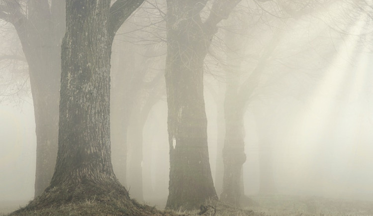 Tento týden nabídne v Libereckém kraji mlhu, mráz a ve druhé polovině také mírné oteplení