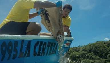 Zpátky domů přes FIFCO: Kostarika prostřednictvím AI vrátila více než 36.000 mušlí do jejich prostředí, aby obnovila ekosystém