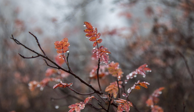 Teploty opět začnou klesat. V druhé polovině týdne se znovu dočkáme mrazů
