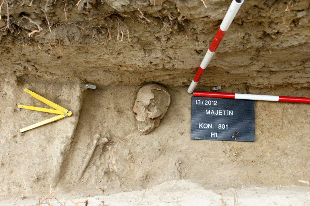 Voják z Majetína používal zuby k otevírání nábojů. Olomoučtí archeologové přišli s unikátním zjištěním