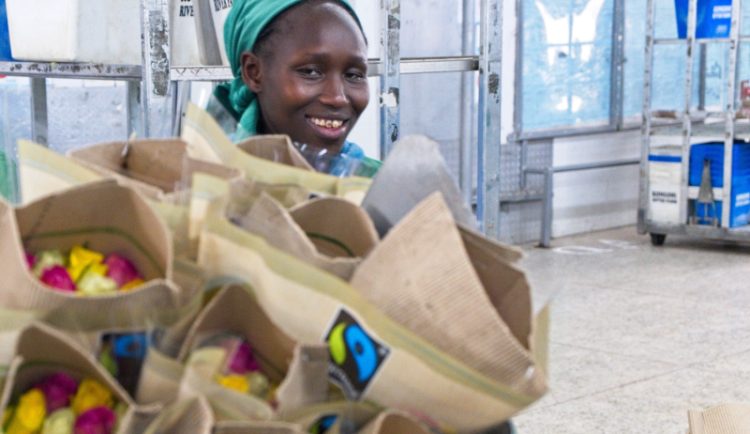 Nová studie potvrzuje, že zapojení do Fairtrade přináší pro pracovníky na květinových farmách hmatatelné výhody