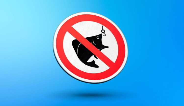 Kaspersky hlásí za rok 2024 téměř 900 milionů pokusů o phishing