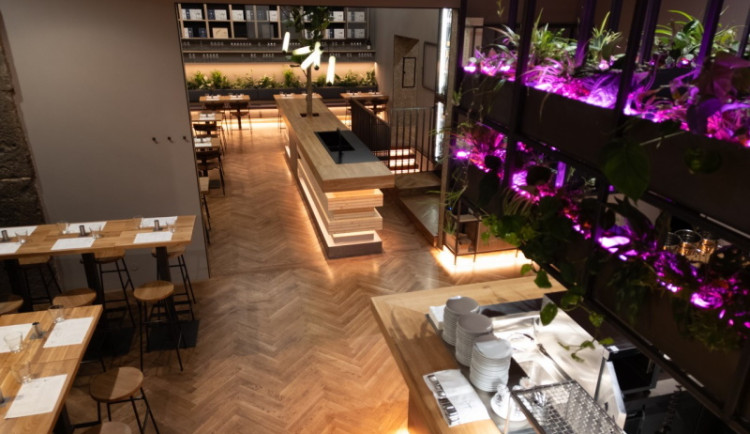 Nová restaurace Špejle v srdci Prahy: Neodolatelné chutě, prostor a atmosféra na dosah ruky!