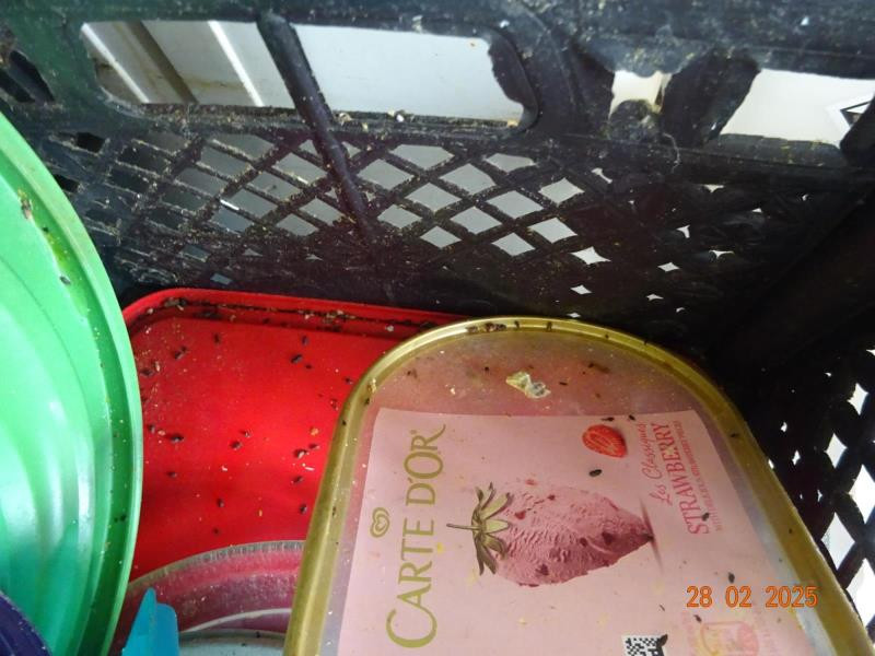 Inspektoři uzavřeli kvůli špíně a dalším prohřeškům Restauraci Studánecký medvěd v Liberci