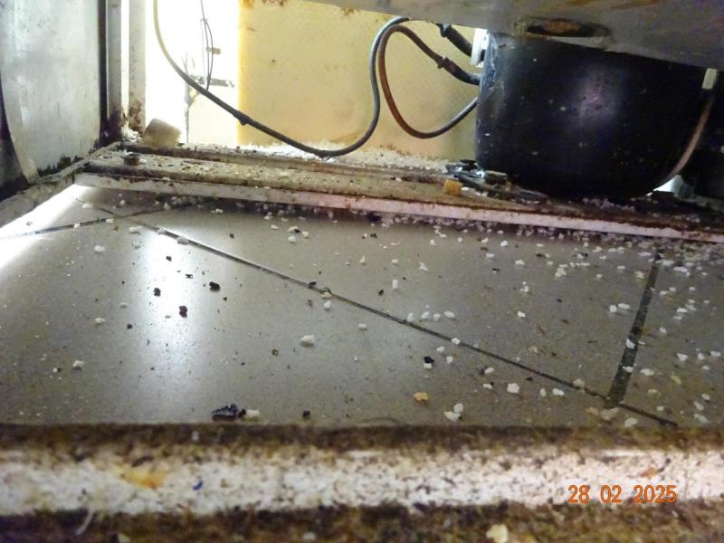 Inspektoři uzavřeli kvůli špíně a dalším prohřeškům Restauraci Studánecký medvěd v Liberci