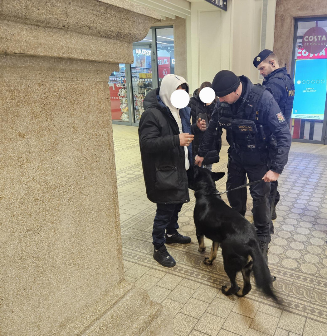 Další obří policejní šťára v centru města. Policisté odhalili 17 opilých mladistvých a jednoho cizince bez povolení k pobytu