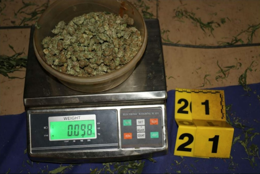 Kriminalisté odhalili na Chebsku pěstírnu konopí, našli tam metrové rostliny a desítky kilo usušené marihuany