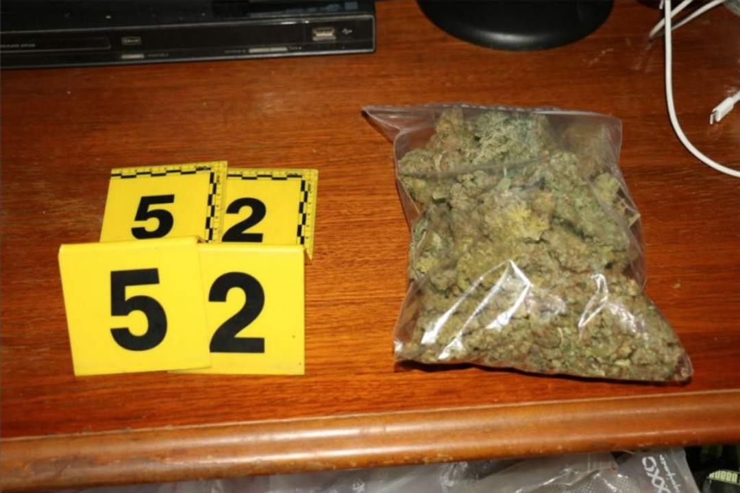 Kriminalisté odhalili na Chebsku pěstírnu konopí, našli tam metrové rostliny a desítky kilo usušené marihuany