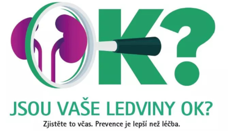 Živě: Tisková konference ke Světovému dni ledvin 2025