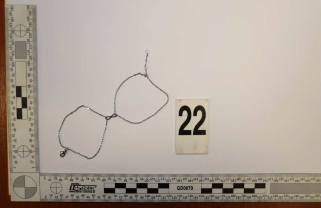 Brali šperky, parfémy i inteligentní hrnec. Kriminalisté dopadli dvojici, která kradla v domech na Moravě