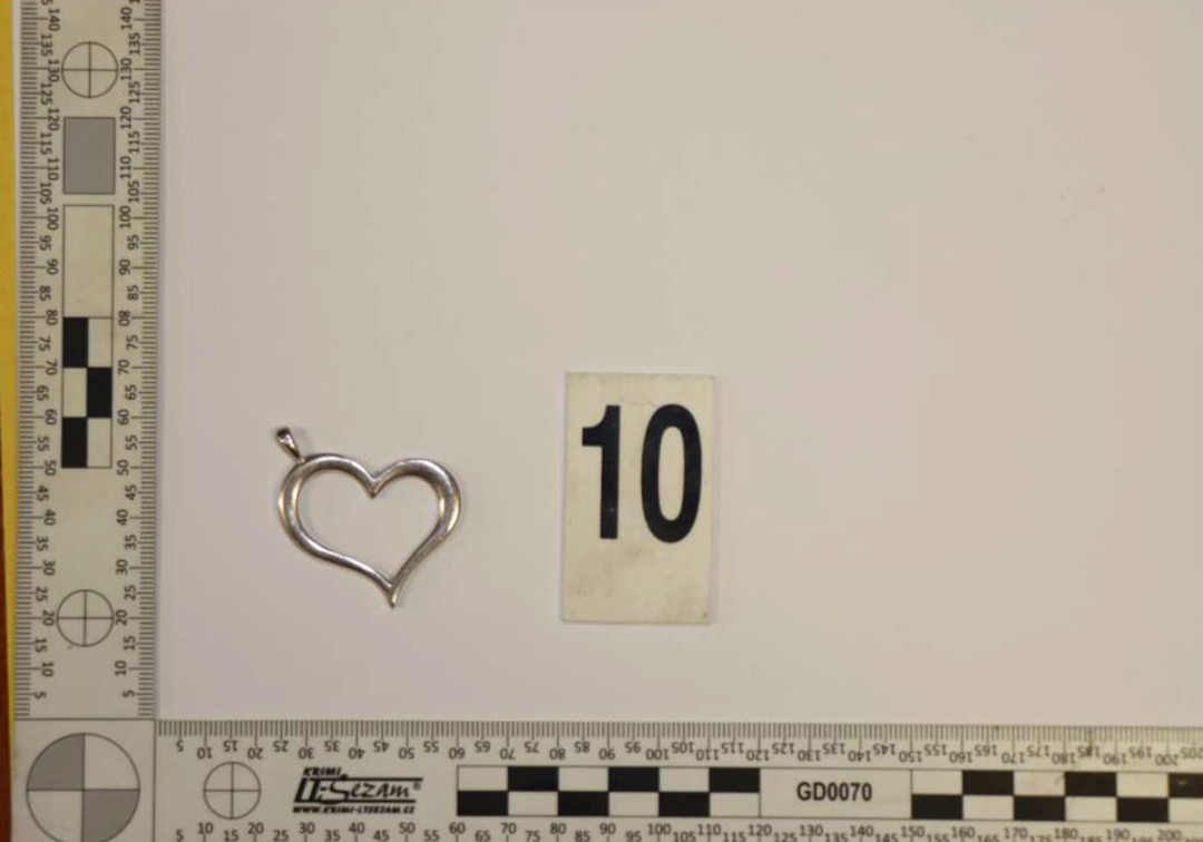 Brali šperky, parfémy i inteligentní hrnec. Kriminalisté dopadli dvojici, která kradla v domech na Moravě