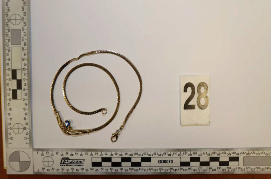 Brali šperky, parfémy i inteligentní hrnec. Kriminalisté dopadli dvojici, která kradla v domech na Moravě