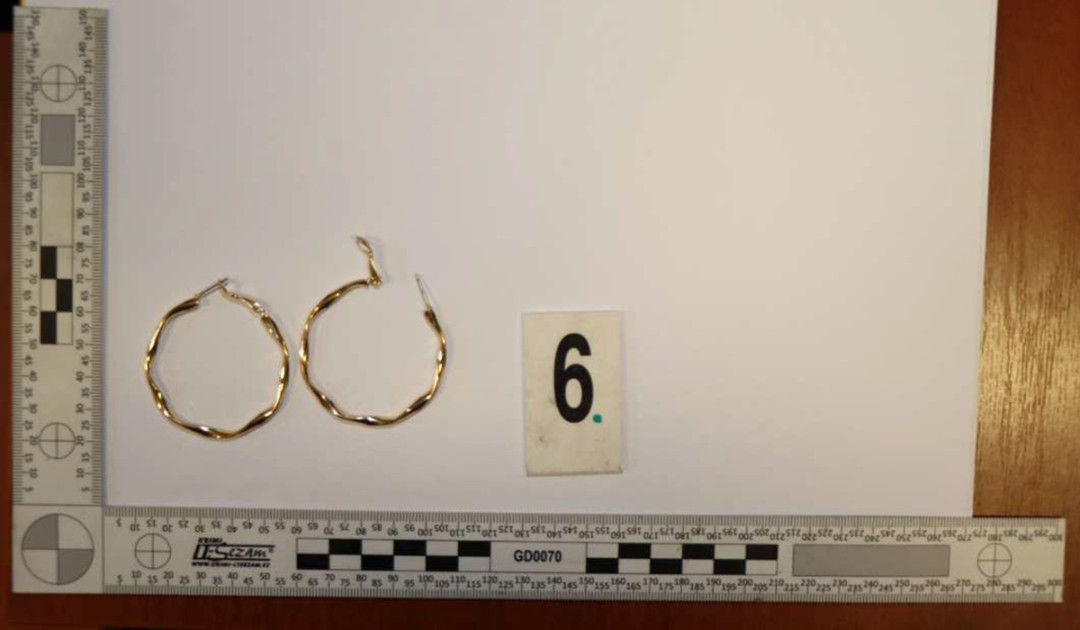 Brali šperky, parfémy i inteligentní hrnec. Kriminalisté dopadli dvojici, která kradla v domech na Moravě