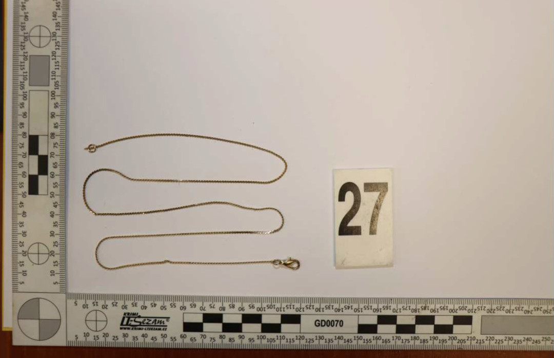 Brali šperky, parfémy i inteligentní hrnec. Kriminalisté dopadli dvojici, která kradla v domech na Moravě