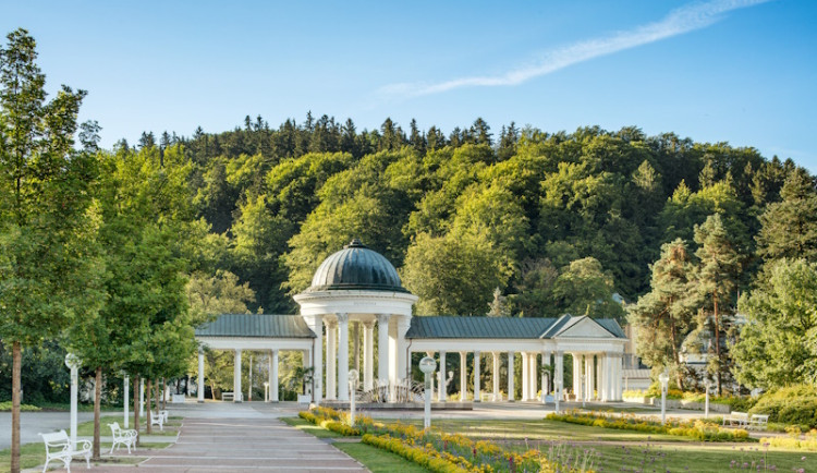 Světový den ledvin: prevence a zdravý životní styl jako klíč k ochraně ledvin