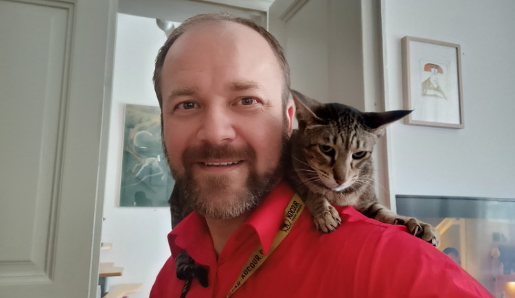 Léčba kočkou? Tři ze čtyř Čechů o felinoterapii nikdy neslyšeli, přesto vzbuzuje zájem