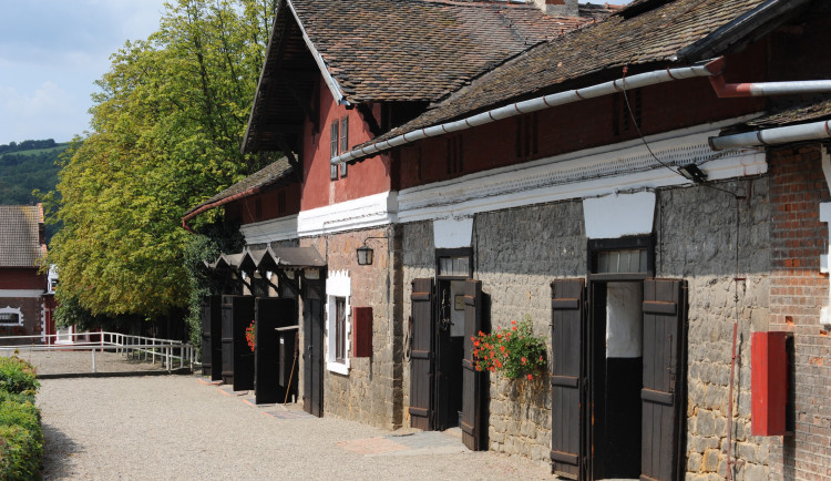 Příběh lásky ke koním: Majitelé 18 let zachraňovali Hřebčín Napajedla před krachem