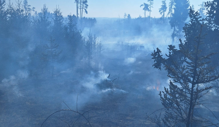 U Budíškovic hoří několik hektarů lesa. Požár vznikl při pálení trávy