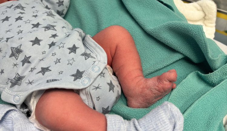 Do babyboxu v Jihlavě někdo odložil romského chlapečka, dostal jméno František. Byl zabalený jen do deky