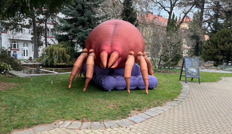 VIDEO: Lidé v Brně prozkoumají svět virů či roztočů. Ve městě najdou obří nafukovací modely