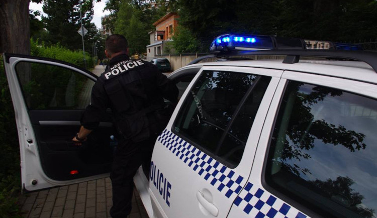 Dostali jsme žízeň, hlásil strážníkům po výletě se psem. Muž nadýchal přes tři promile