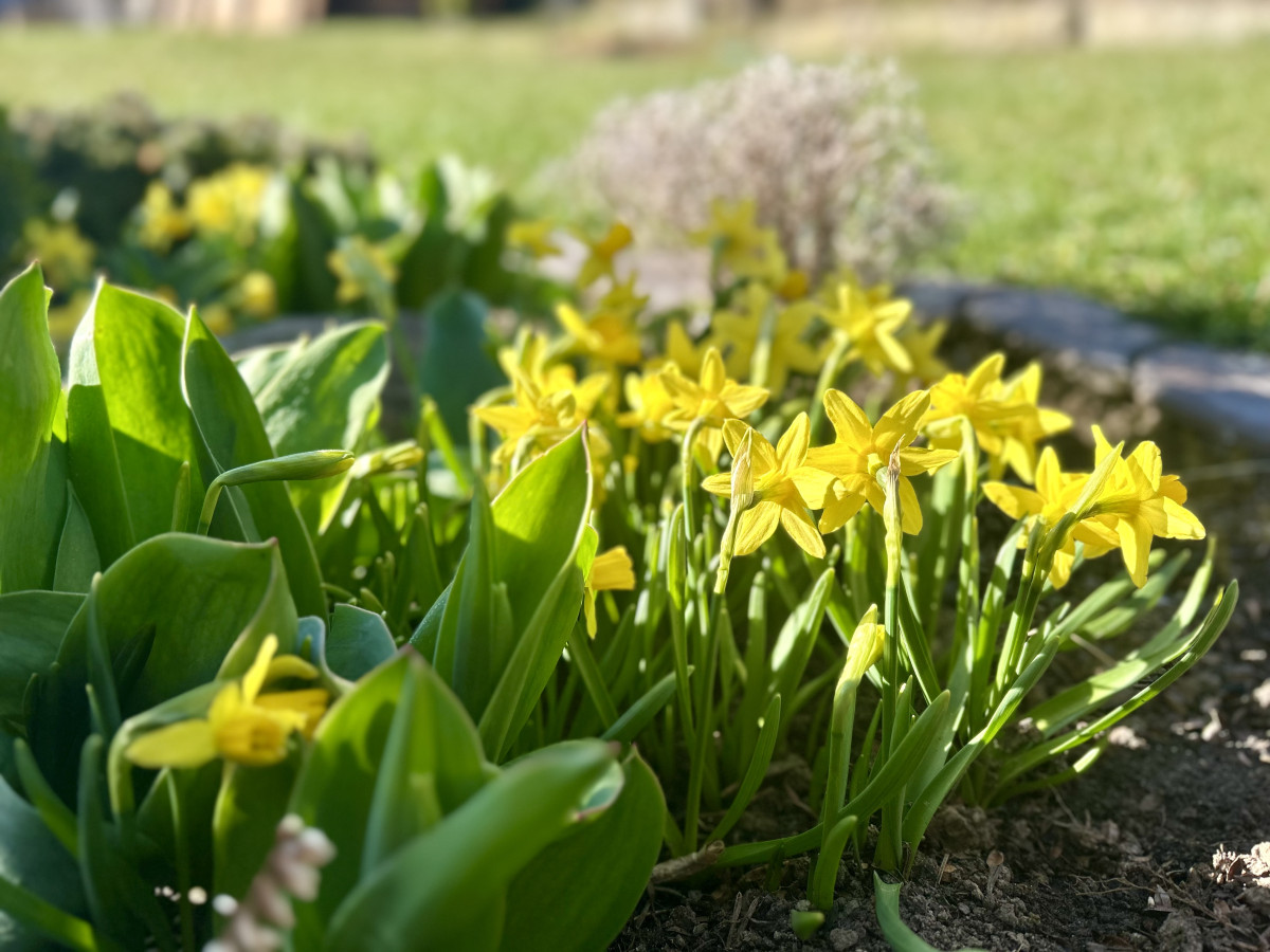 Březen přinesl na Vysočině několik teplotních rekordů. Na stanici v Jihlavě naměřili skoro 20 stupňů