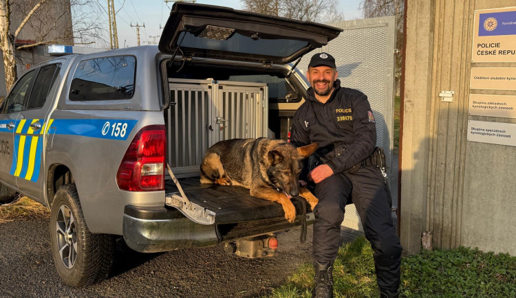 Policejní pes Floki dopadl zloděje, který se vloupal do obchodu na Sokolovsku. Muž zatoužil po alkoholu