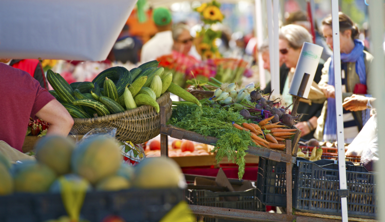 Pravidelné trhy ve Dvoře Králové mají nového provozovatele. Bude více stánků